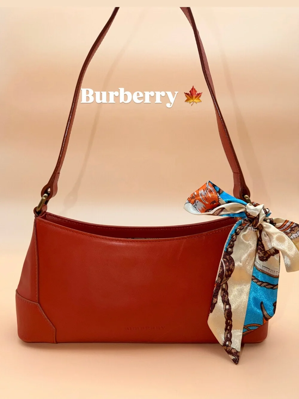 Burberry Vintage Terracotta Leather Shoulder Bag Nova Check Lining
